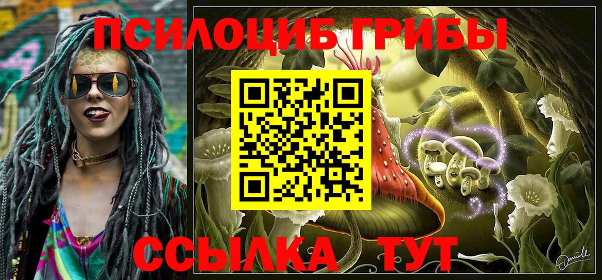наркота  Вход с VPN  Галлюциногенные грибы мицелий  Похвистнево  Галлюциногенные грибы Psilocybe 